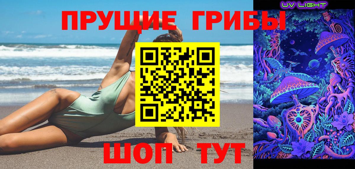 Новошахтинск  Псилоцибиновые грибы прущие грибы  Вход с VPN 